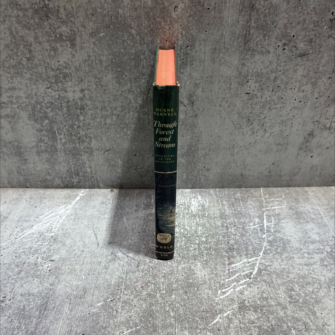 through forest and stream adventure in the mountains book, by duane yarnell, 1949 Hardcover image 4