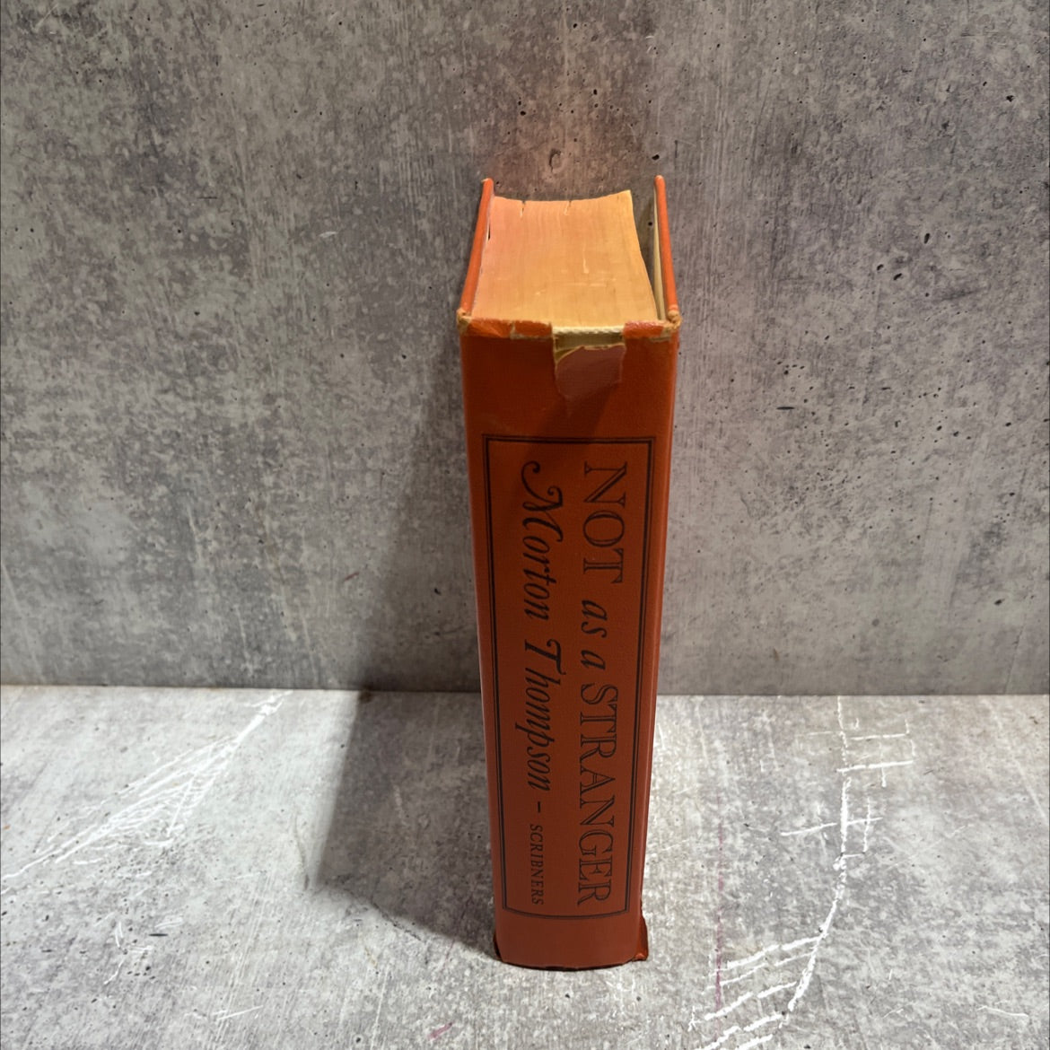 tom not as a stranger book, by morton thompson, 1954 Hardcover image 4