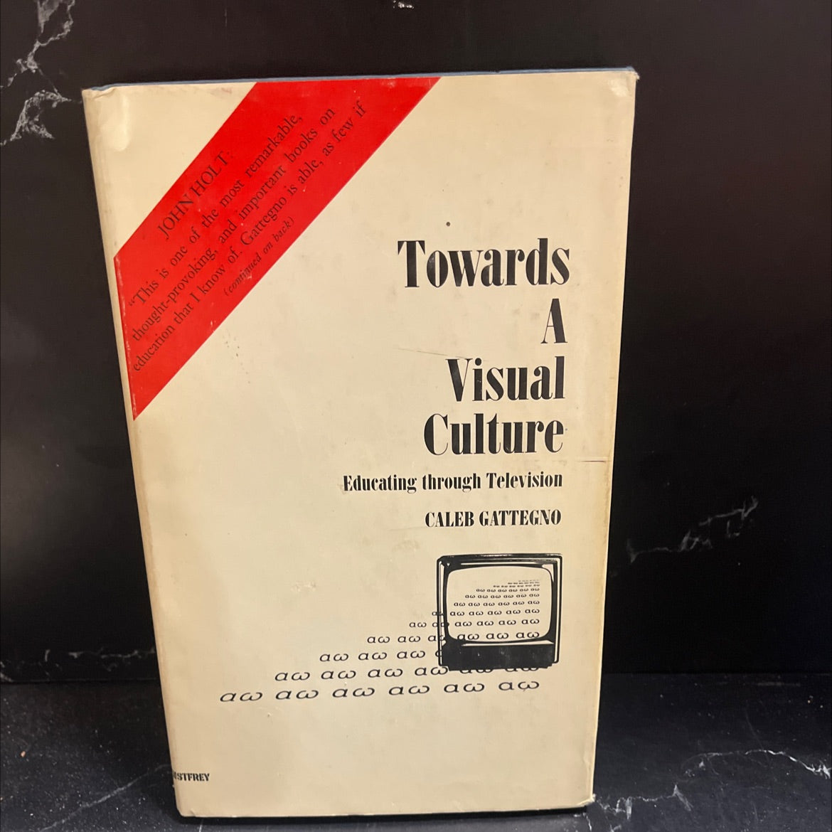 towards a visual culture educating through television book, by caleb gattegno, 1970 Hardcover image 1