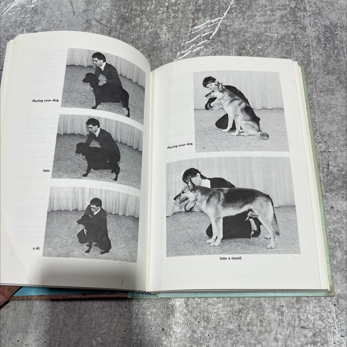 training your dog the step-by-step manual book, by joachim volhard, gail tamases fisher, 1983 Hardcover image 4