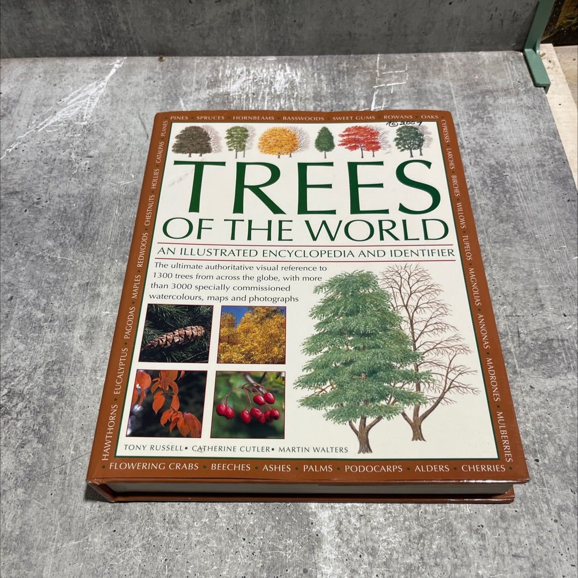 trees of the world an illustrated encyclopedia and identifier book, by tony russell, catherine cutler, martin walters, image 1