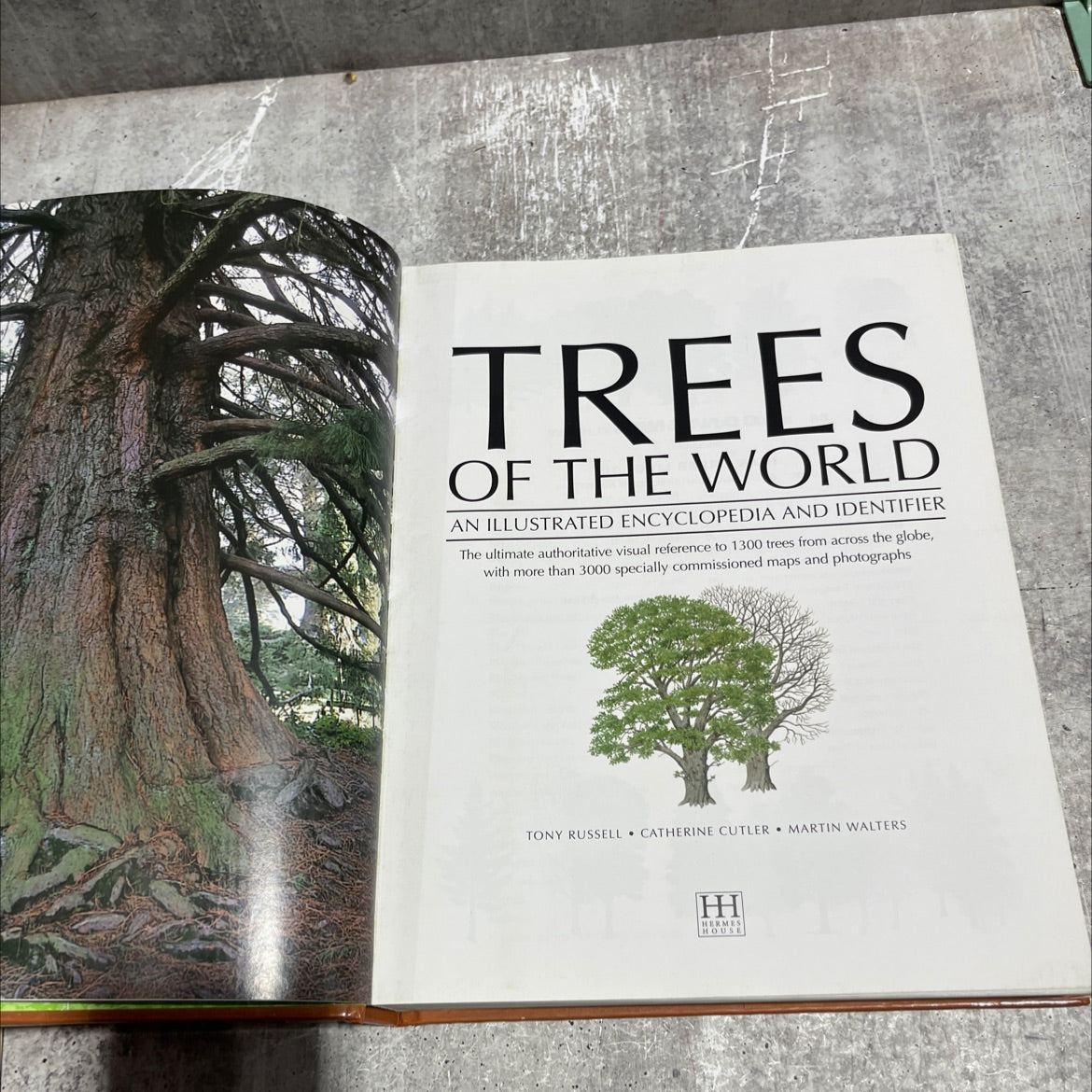 trees of the world an illustrated encyclopedia and identifier book, by tony russell, catherine cutler, martin walters, image 2