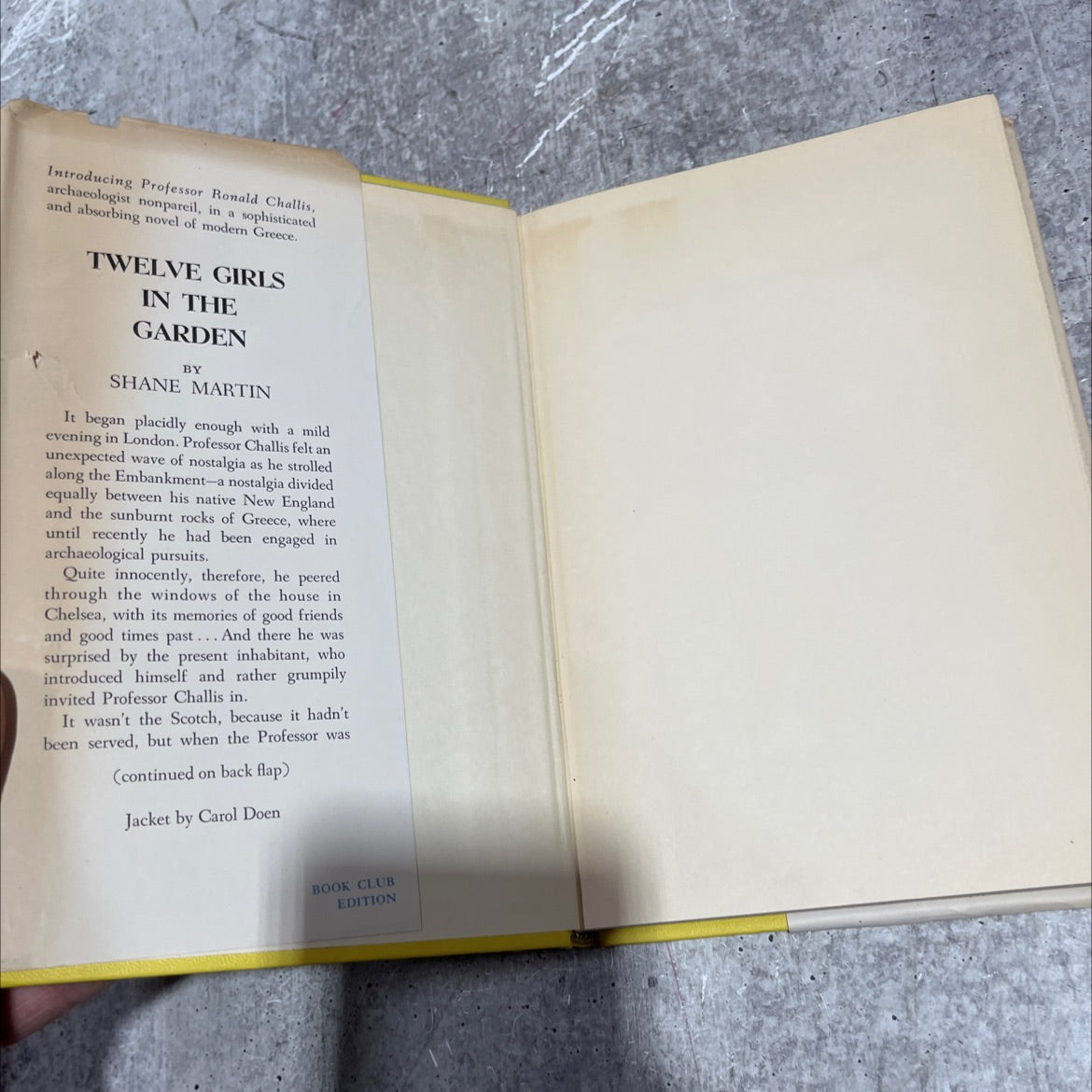 twelve girls in the garden book, by Shane Martin, 1957 Hardcover image 4