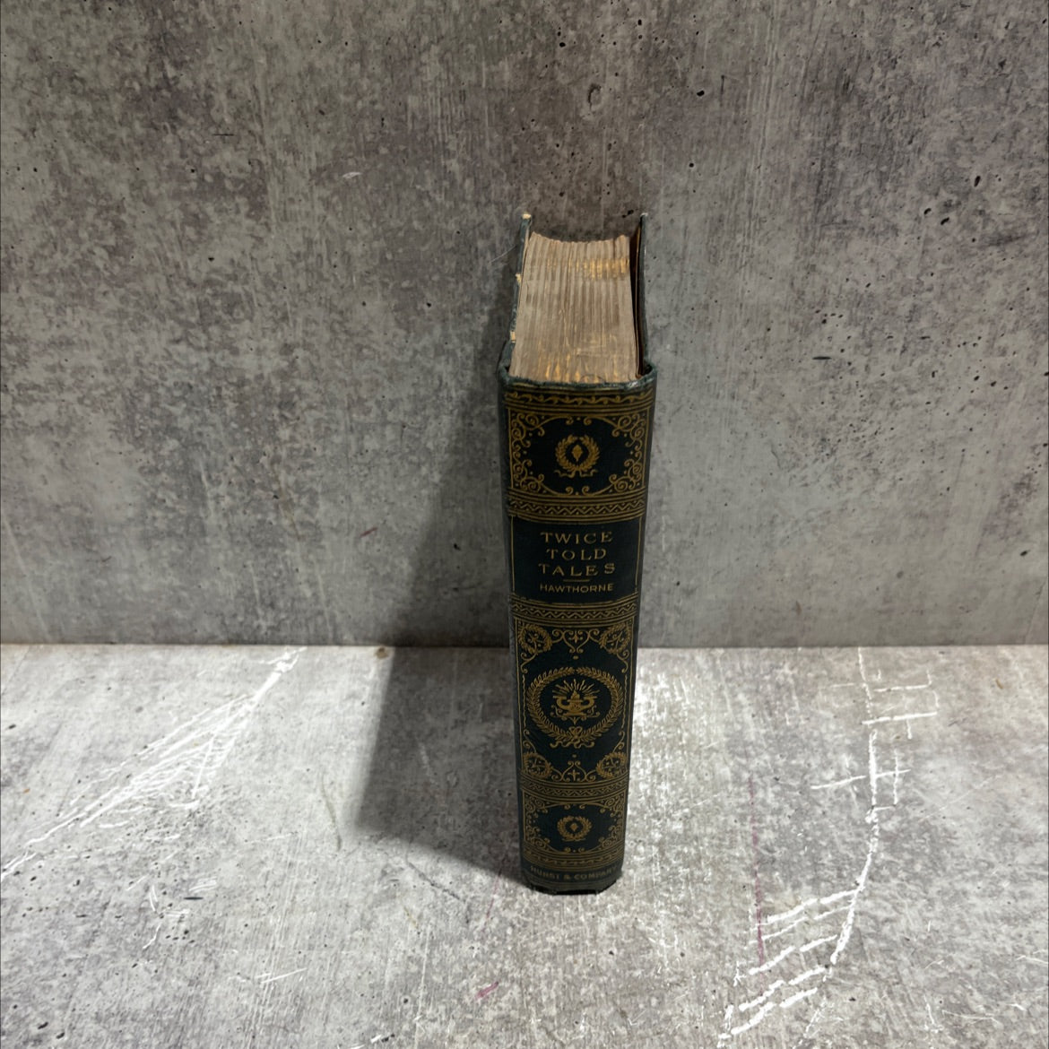twice-told tales book, by nathaniel hawthorne, 1970 Hardcover image 3