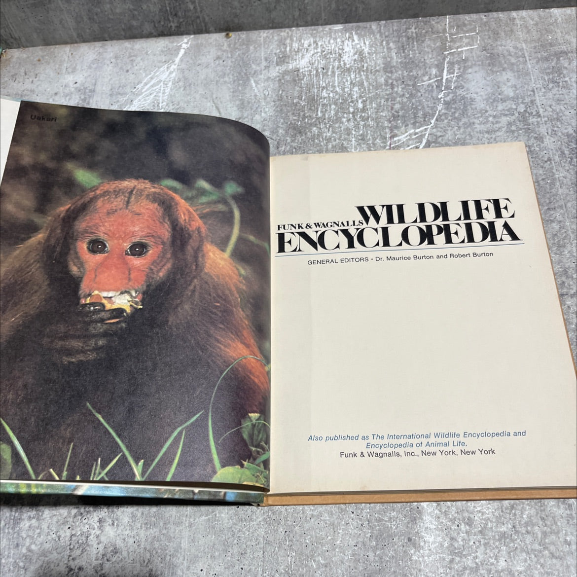uakari book, by dr. maurice burton and robert burton, 1974 Hardcover image 2