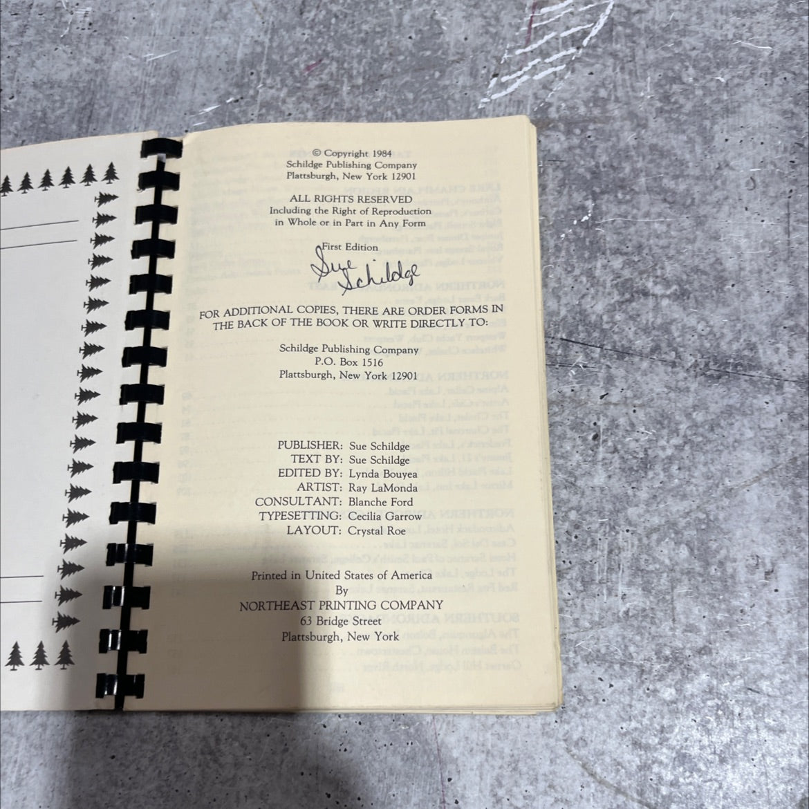 unknown book, by Sue Schildge, 1984 Paperback image 2