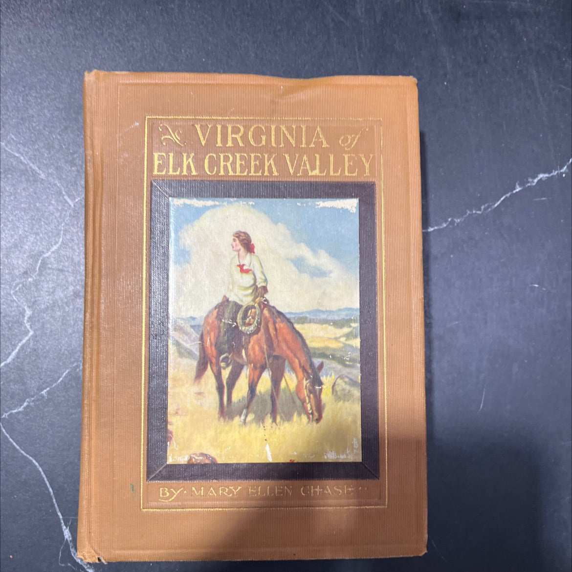 virginia elk creek valley book, by mary ellen chase, 1917 Hardcover image 1