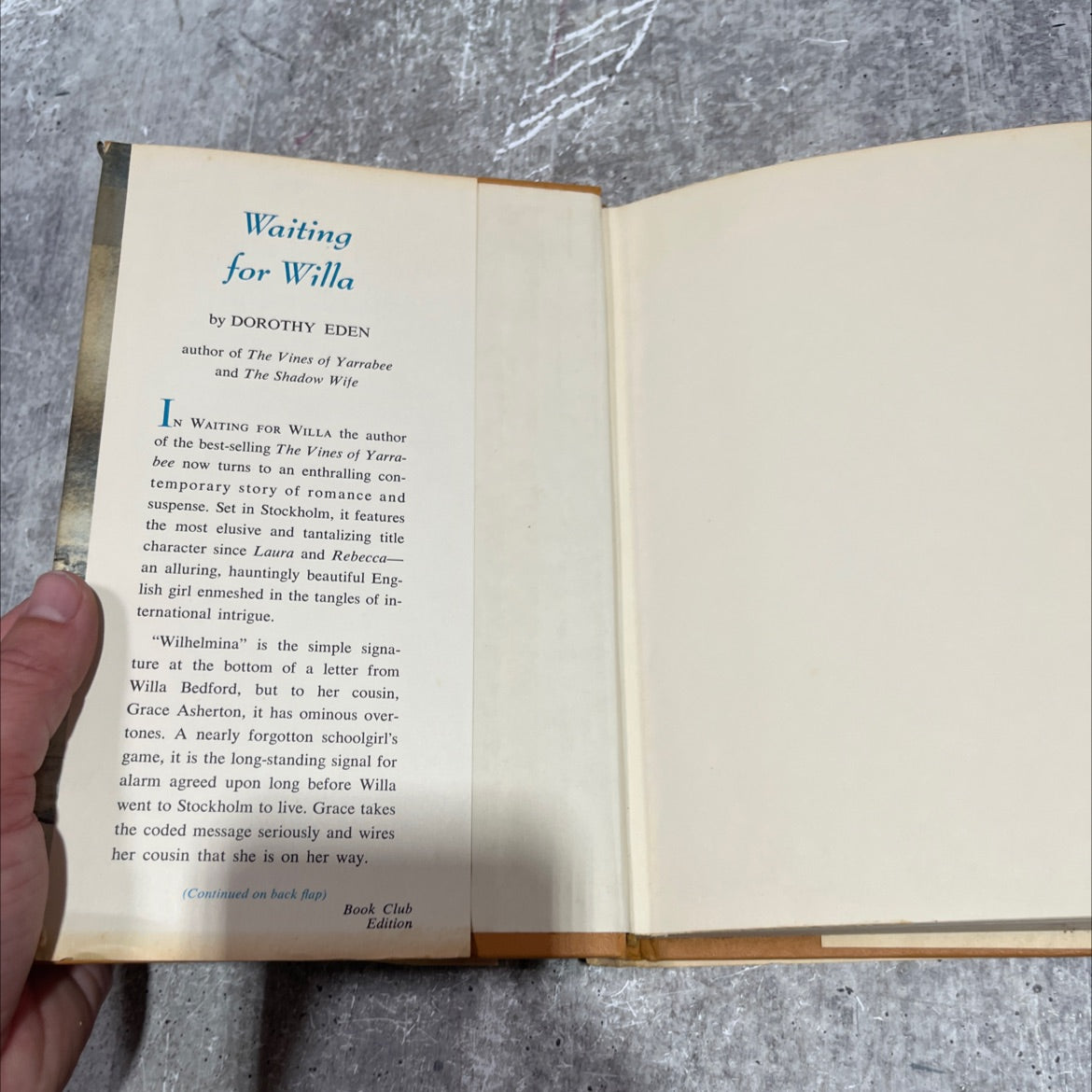 waiting for willa book, by dorothy eden, 1970 Hardcover image 4