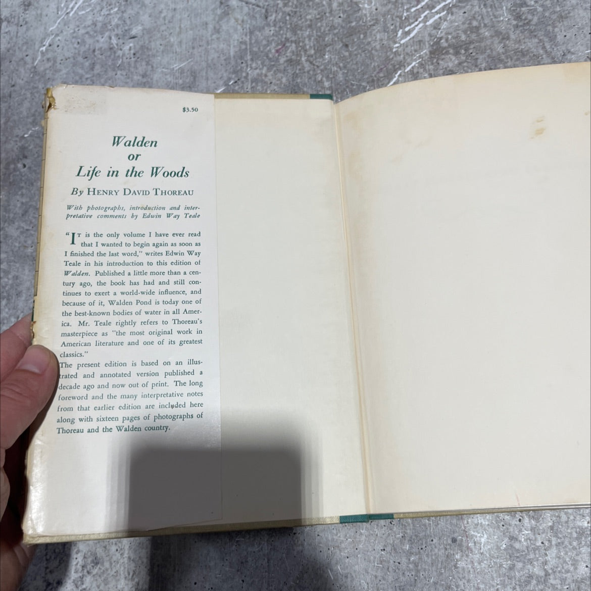 walden or life in the woods book, by henry d. thoreau, 1946 Hardcover image 4