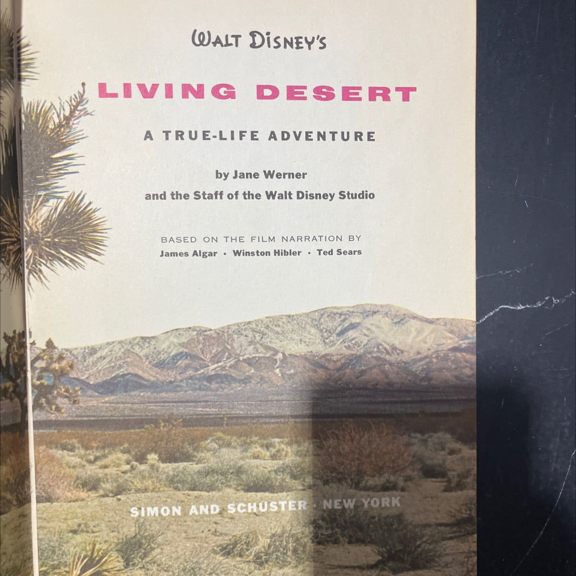 walt disney's living desert a true-life adventure book, by jane werner and the staff of the walt disney studio, 1954 image 2