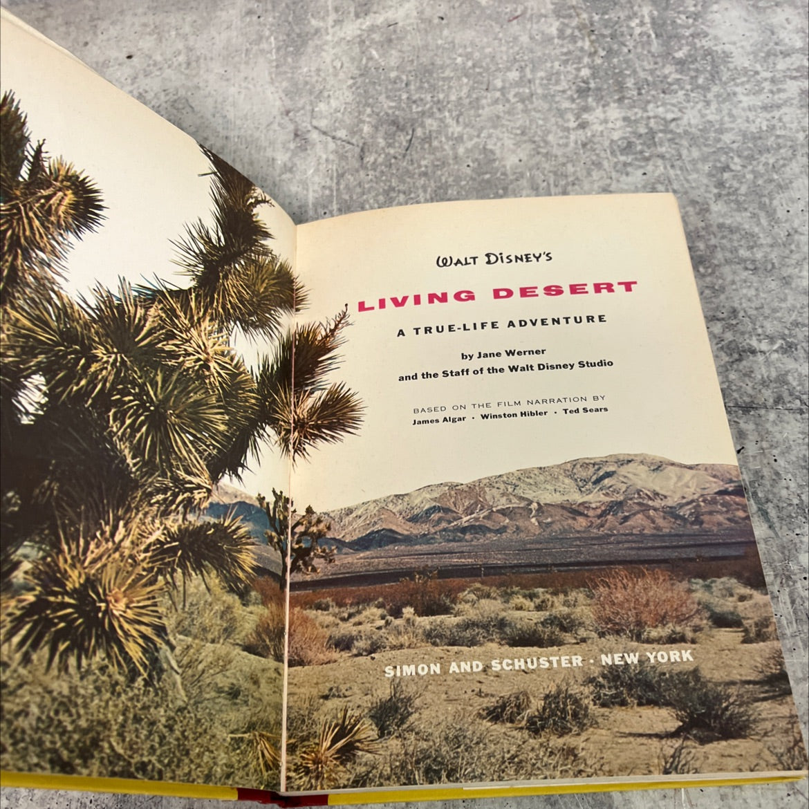 walt disney's living desert a true-life adventure book, by jane werner and the staff of the walt disney studio, 1954 image 2