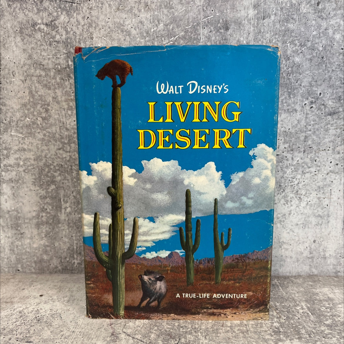 walt disney's living desert a true-life adventure book, by jane werner and the staff of the walt disney studio, 1954 image 1