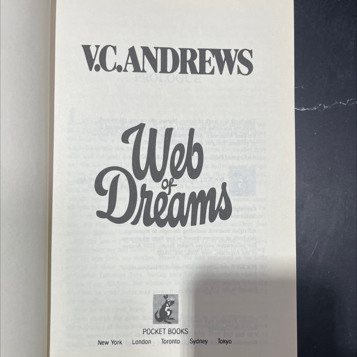 web dreams book, by v.c. andrews, 1990 Hardcover image 2