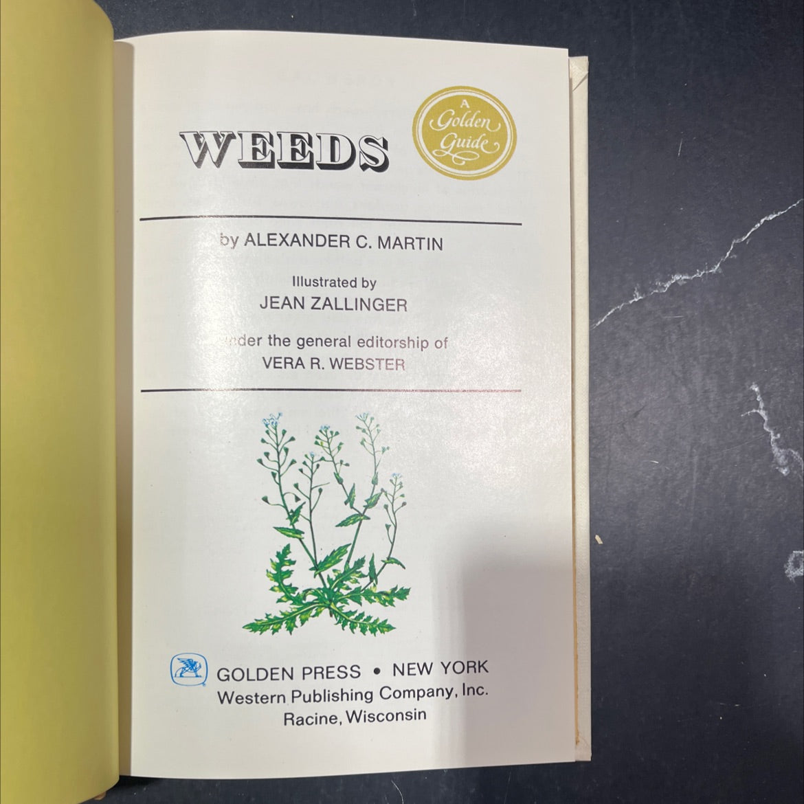 weeds golden guide book, by alexander c. martin, 1972 Hardcover image 2