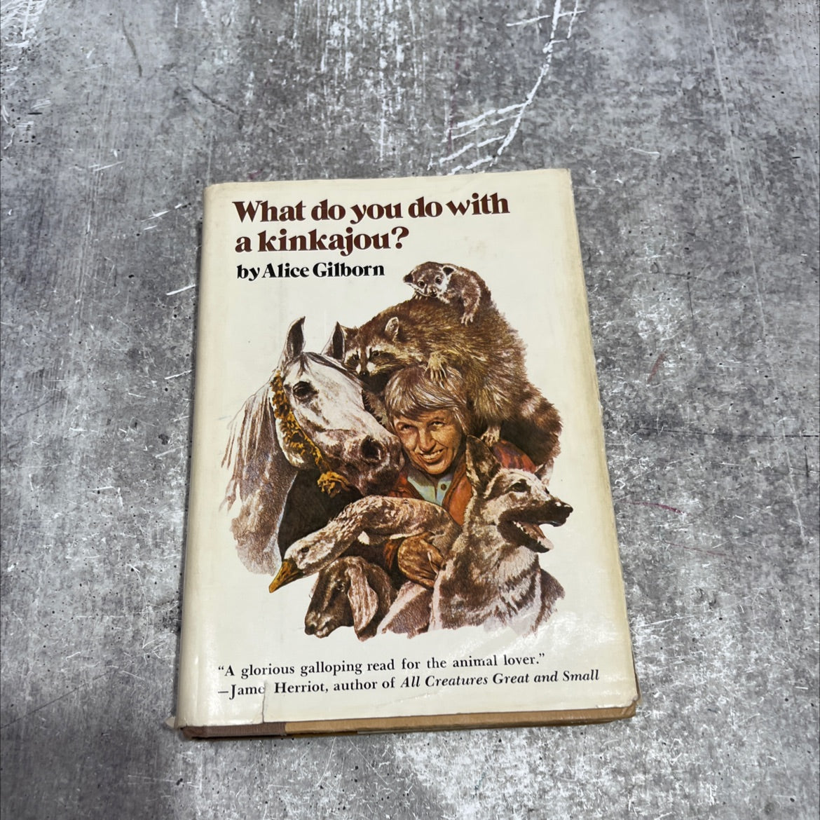 what do you do with a kinkajou book, by Alice Gilborn, 1976 Hardcover image 1