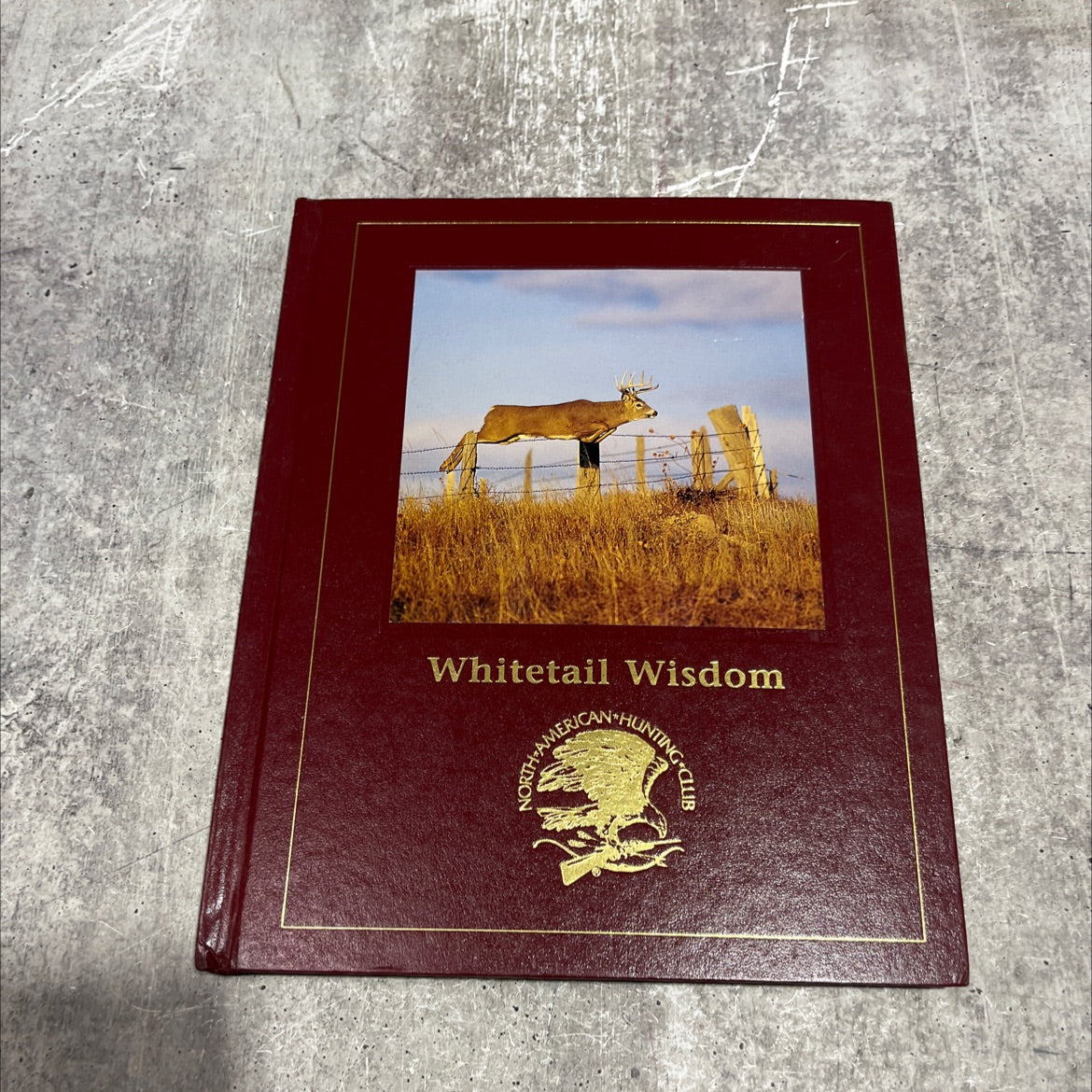 whitetail wisdom book, by gordy krahn, tom carpenter, 2010 Hardcover image 1