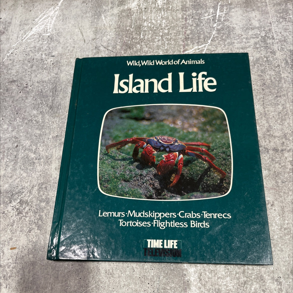 wild, wild world of animals island life book, by unknown, 1978 Hardcover image 1