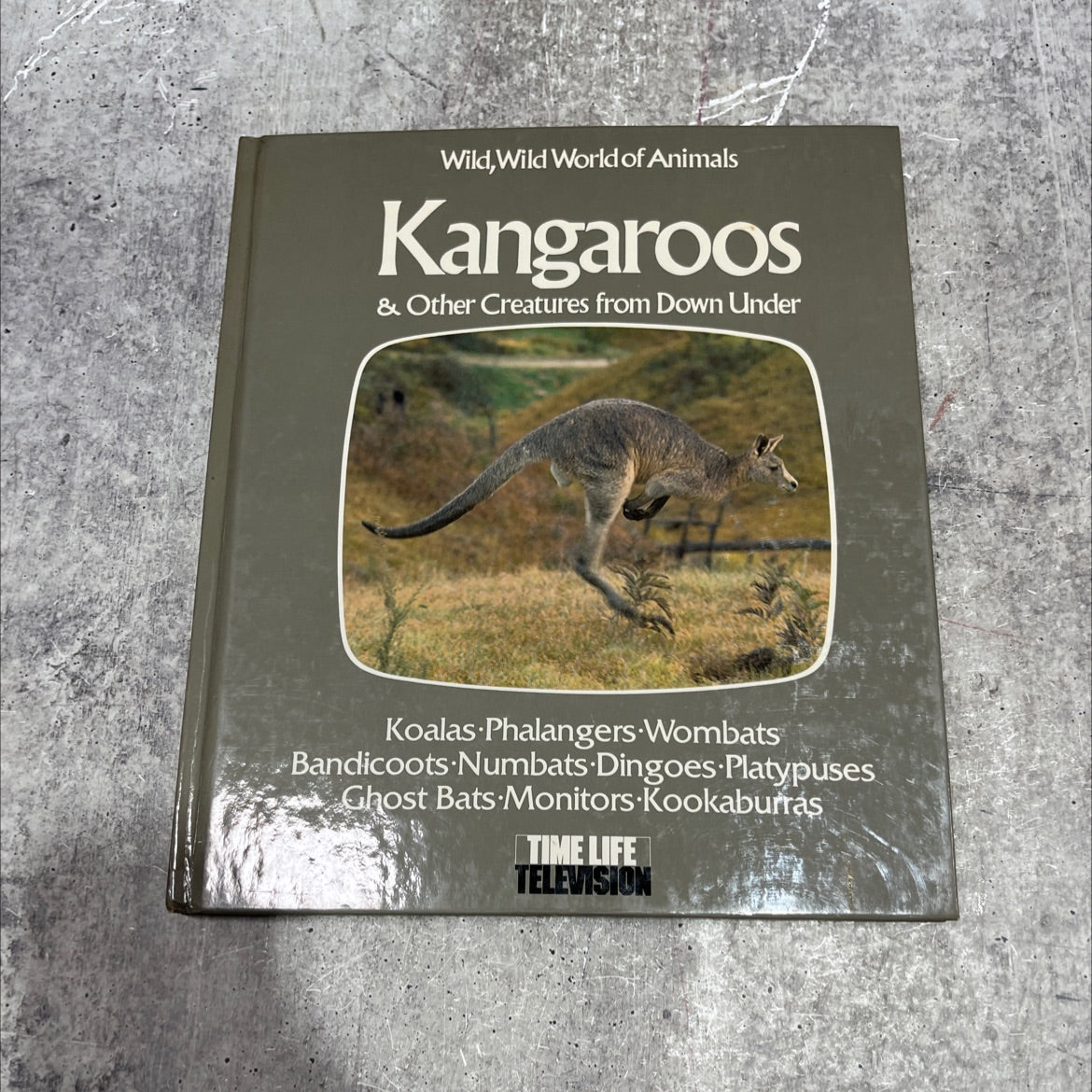 wild, wild world of animals kangaroos & other creatures from down under book, by unknown, 1977 Hardcover image 1
