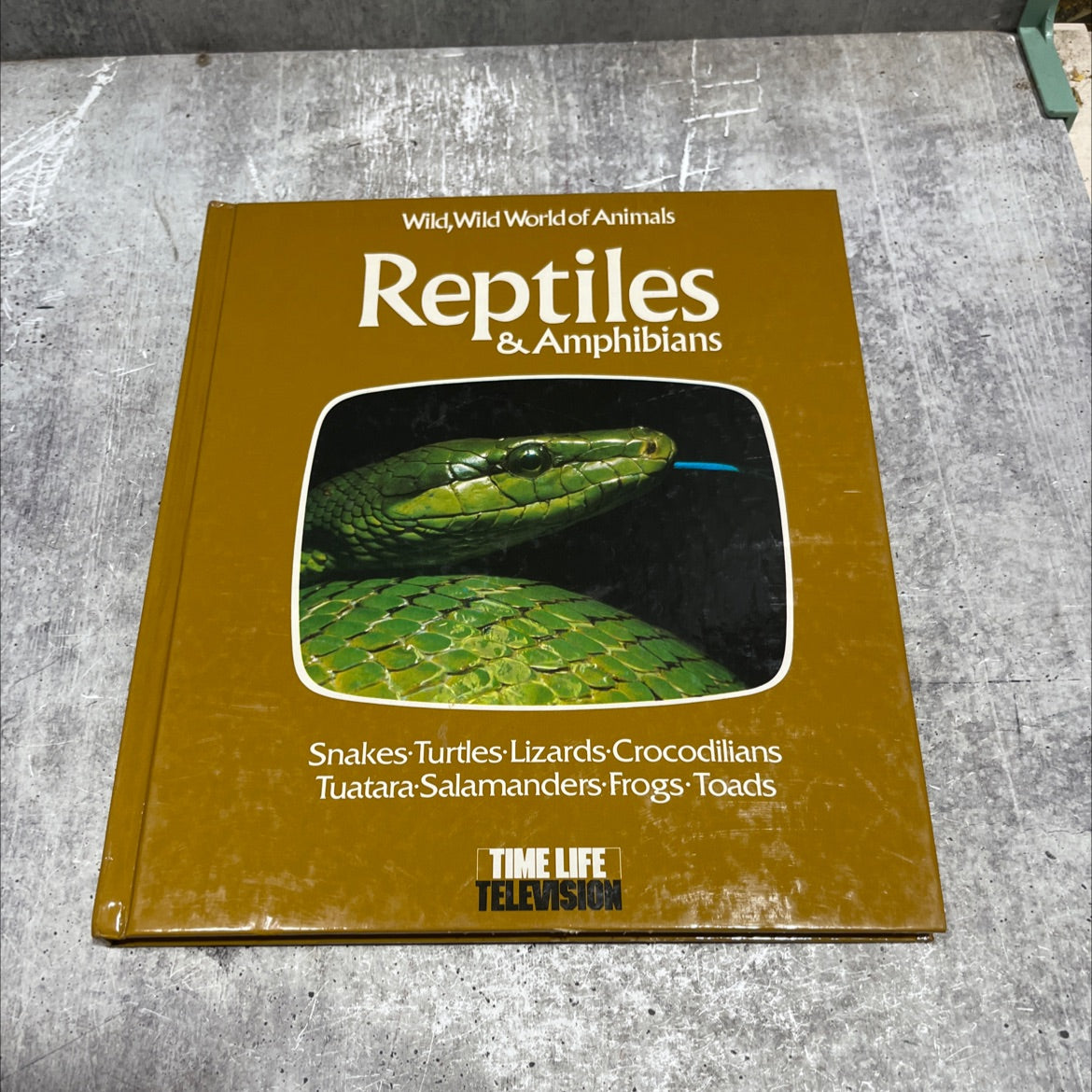 wild, wild world of animals reptiles & amphibians book, by TIME-LIFE FILMS, 1977 Hardcover image 1