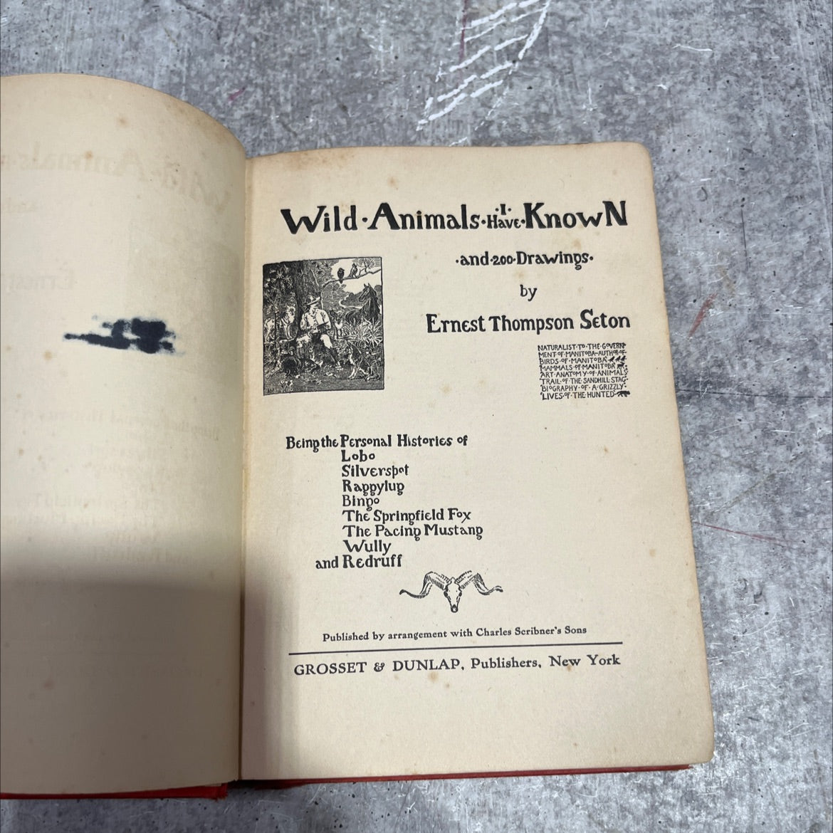 wild animals have known and-200-drawings book, by ernest thompson seton, 1912 Hardcover image 2