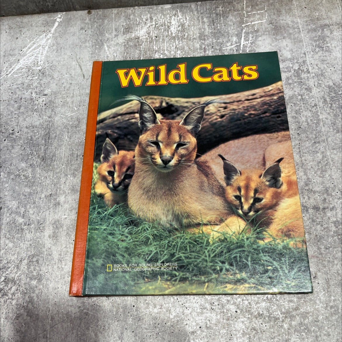 wild cats book, by Peggy D. Winston, 1981 Hardcover image 1