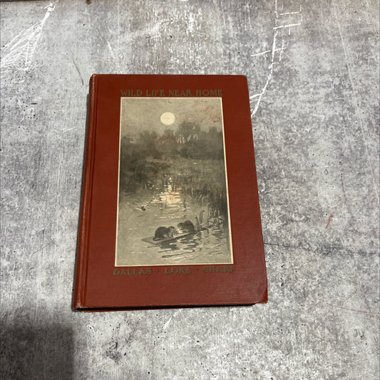 wild life mear ibome book, by dallas lore sharp, 1901 Hardcover image 1