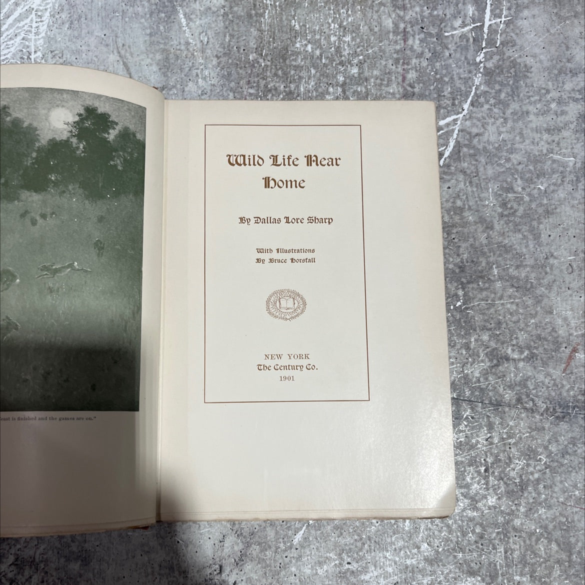 wild life mear ibome book, by dallas lore sharp, 1901 Hardcover image 2