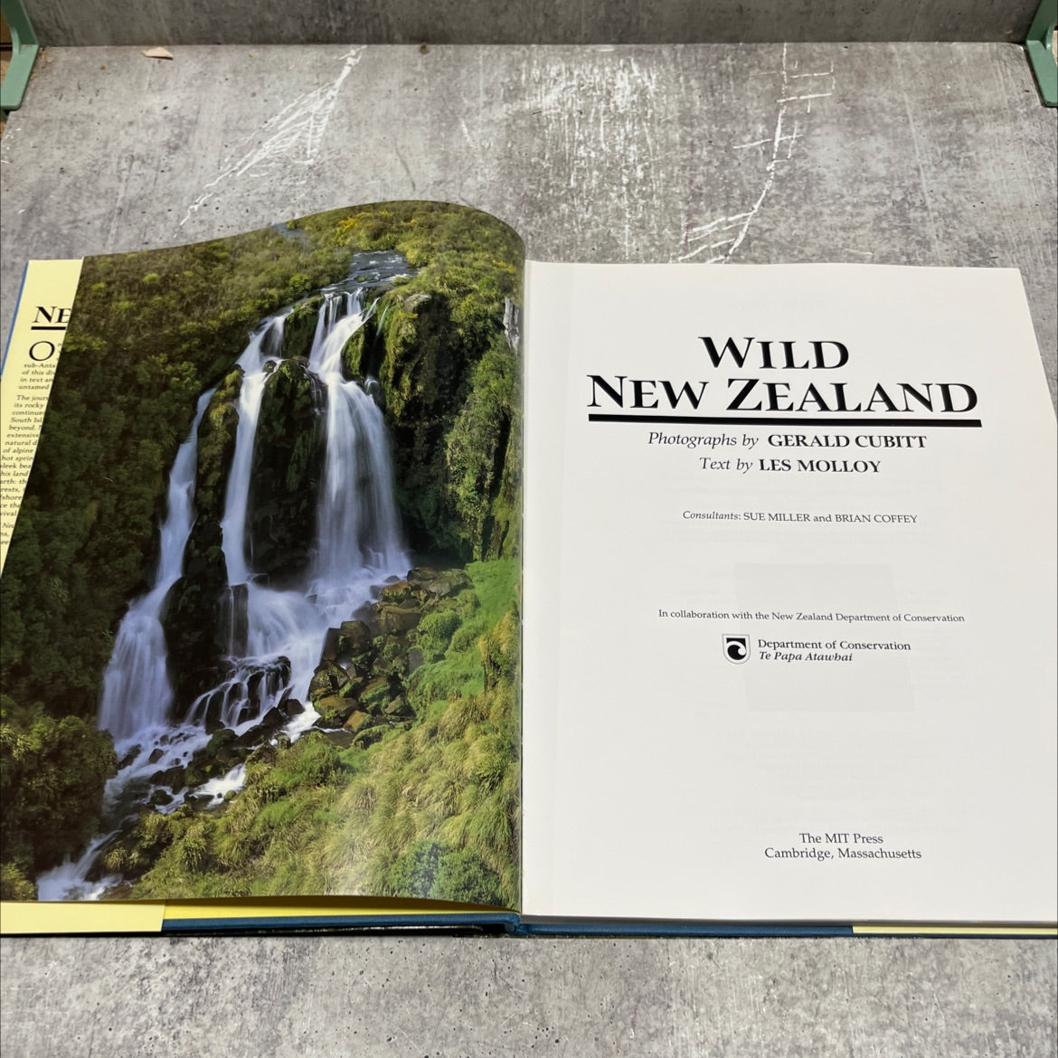 wild new zealand book, by les molloy, 1994 Hardcover image 2
