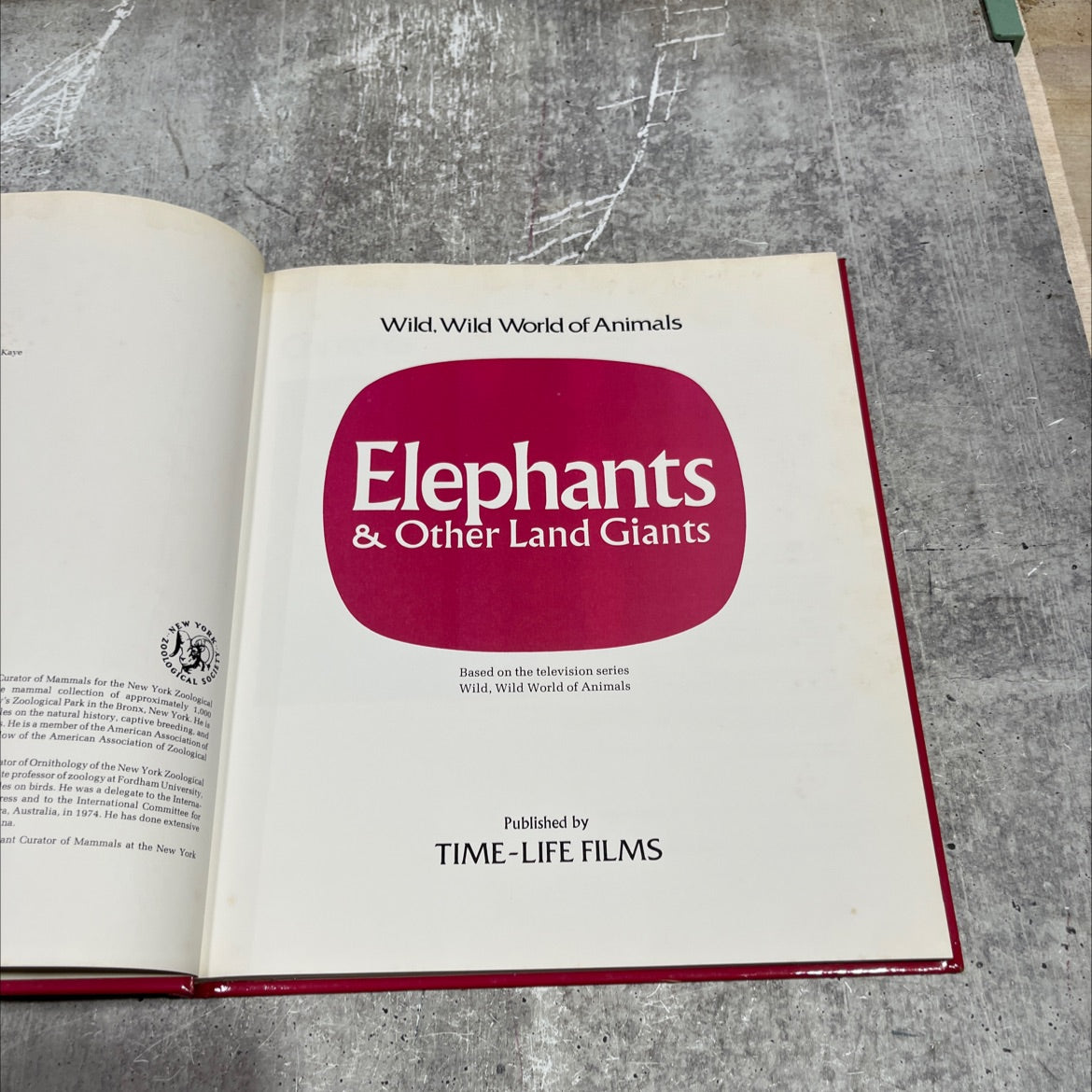 wild world of animals book, by Kaye Wild, 1975 Hardcover image 2