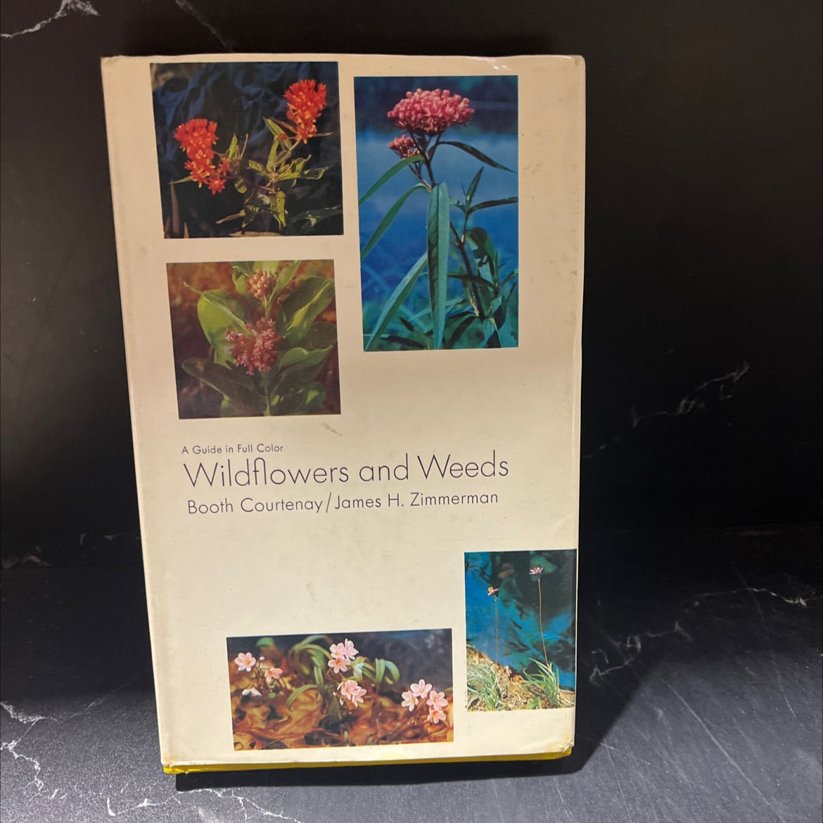 wildflowers and weeds book, by booth courtenay / james hall zimmerman, 1972 Hardcover image 1