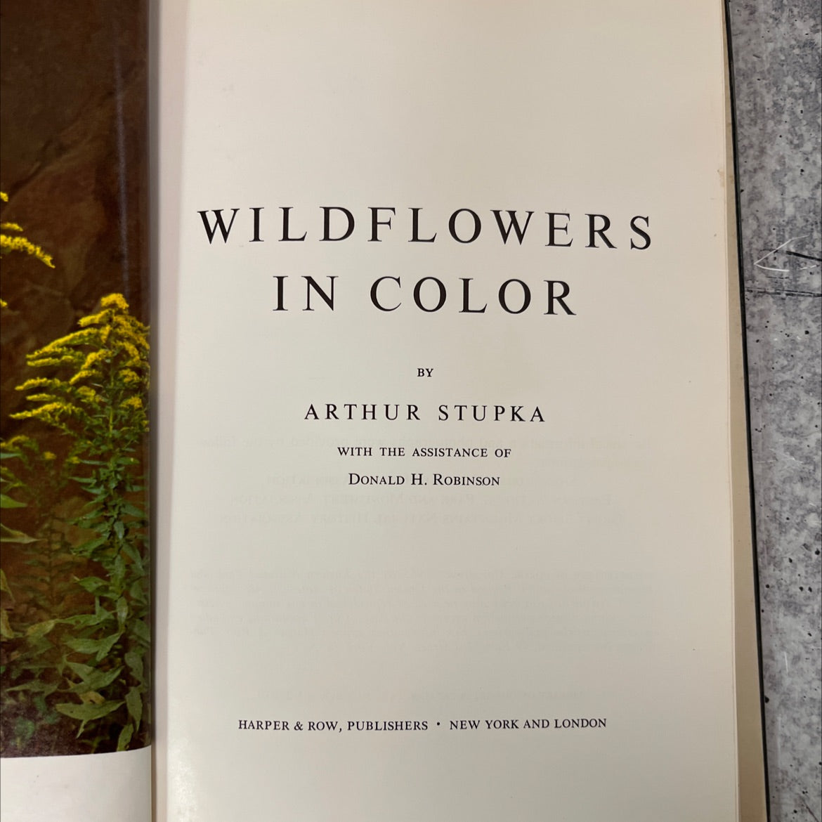 wildflowers in color book, by arthur stupka, 1965 Hardcover image 2
