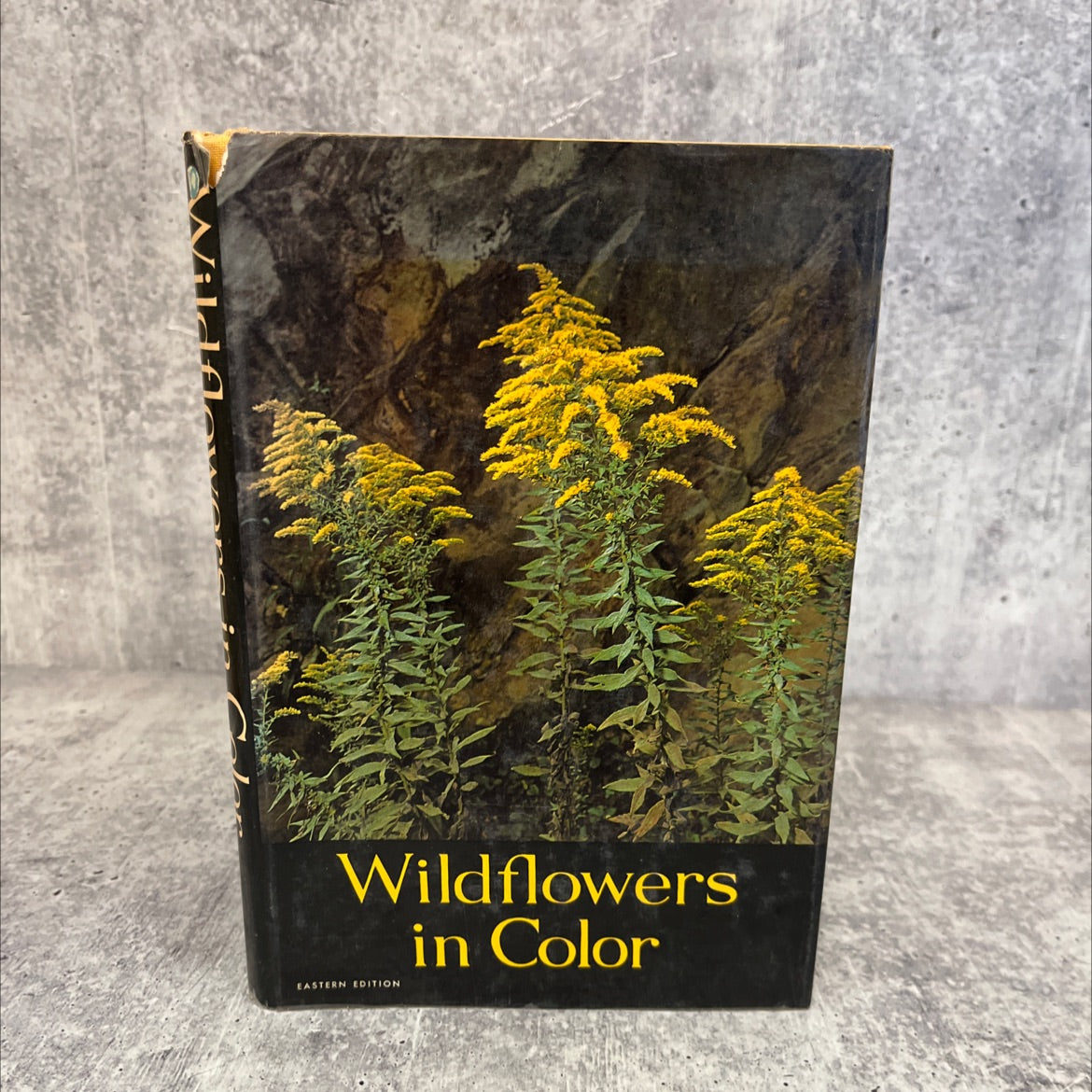 wildflowers in color book, by arthur stupka, 1965 Hardcover image 1