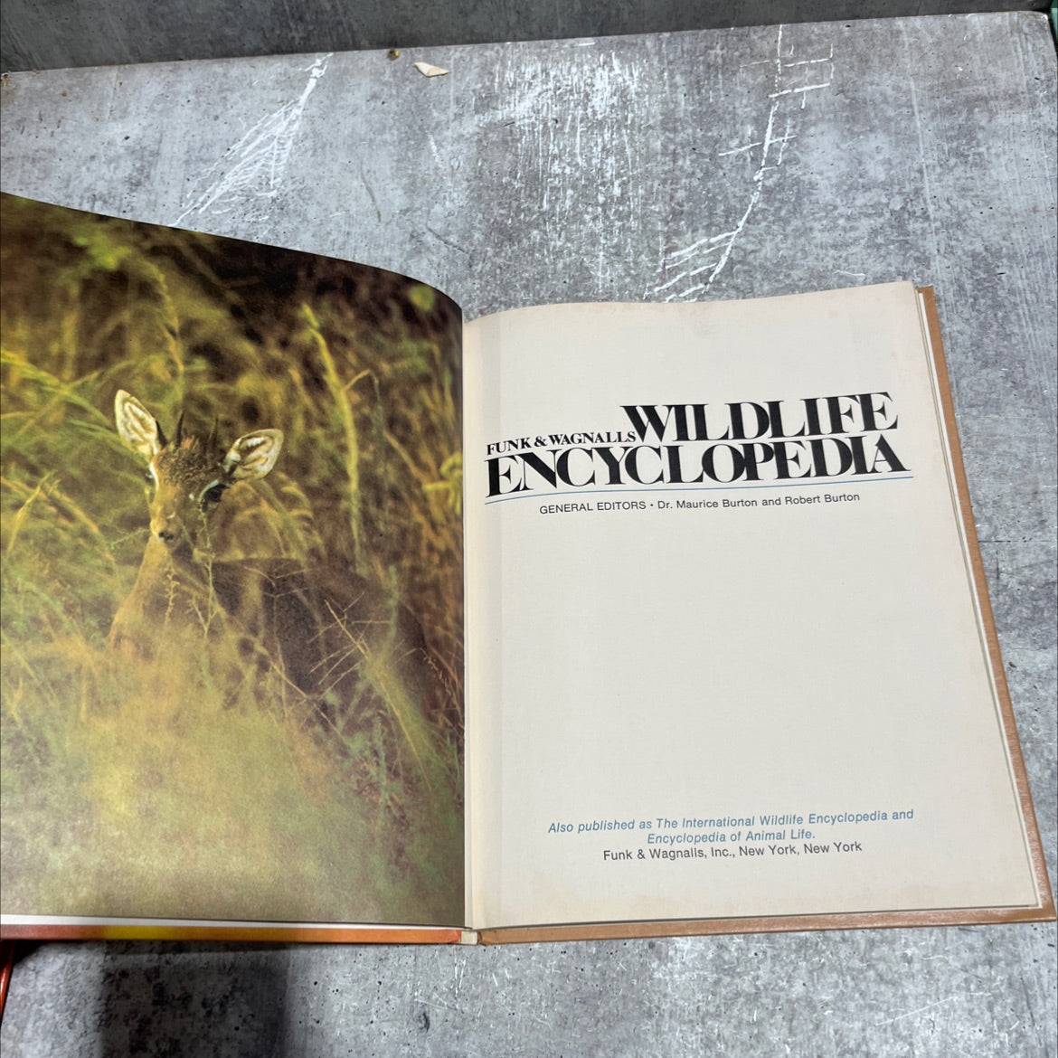 wildlife encyclopedia book, by Dr. Maurice Burton, Robert Burton, 1974 Hardcover image 2