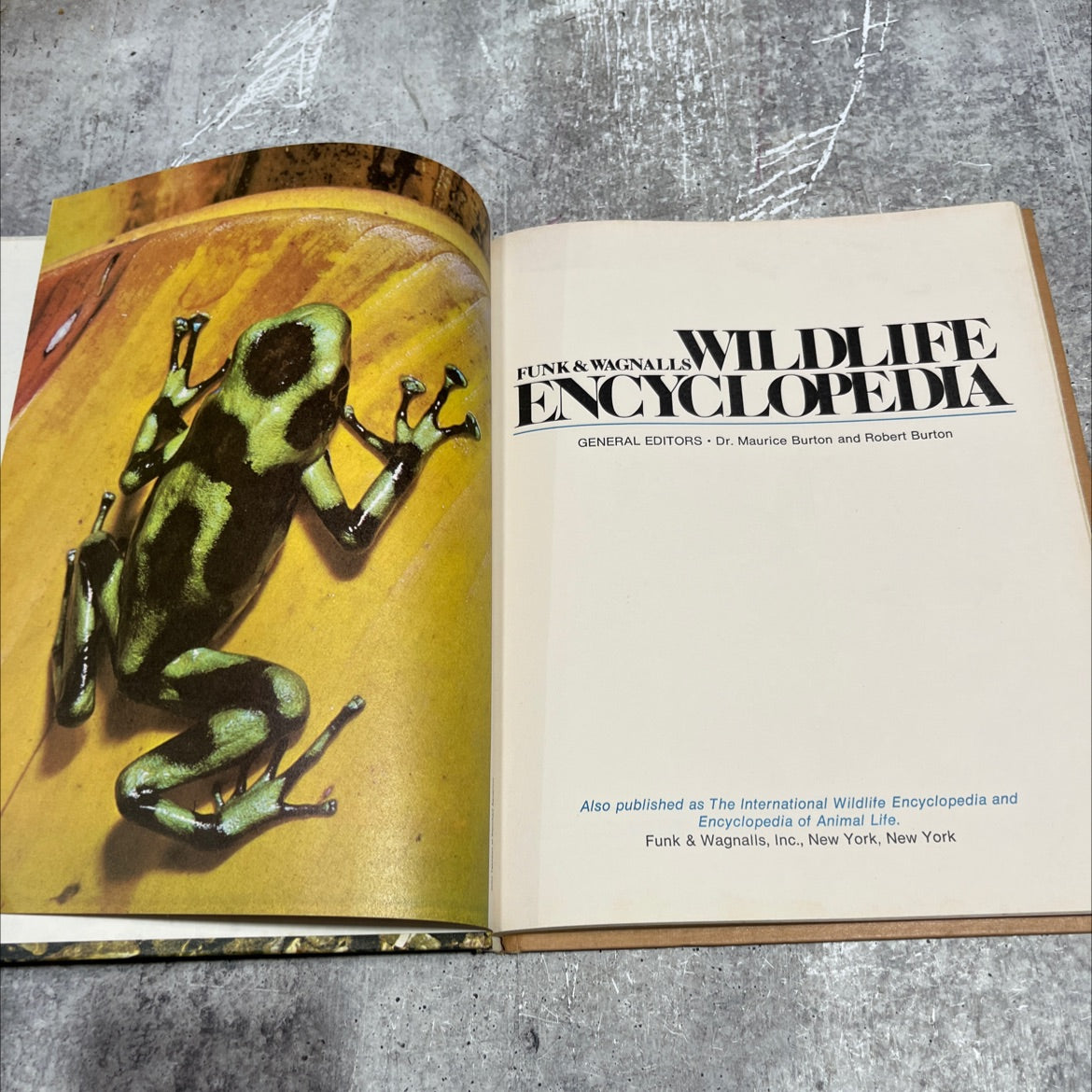 wildlife encyclopedia book, by Dr. Maurice Burton and Robert Burton, 1974 Hardcover image 2