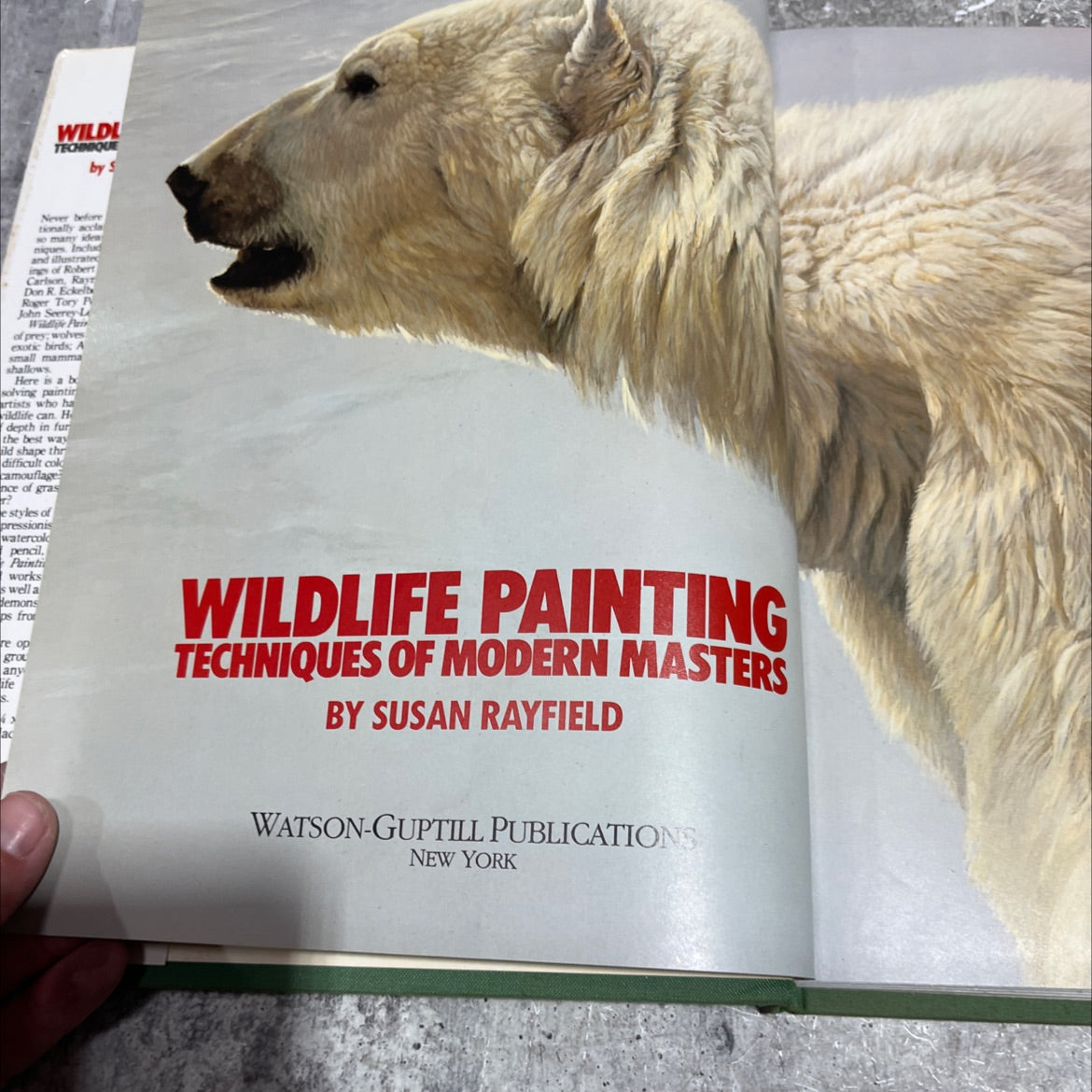 wildlife painting techniques of modern masters book, by susan rayfield, 1985 Hardcover image 2