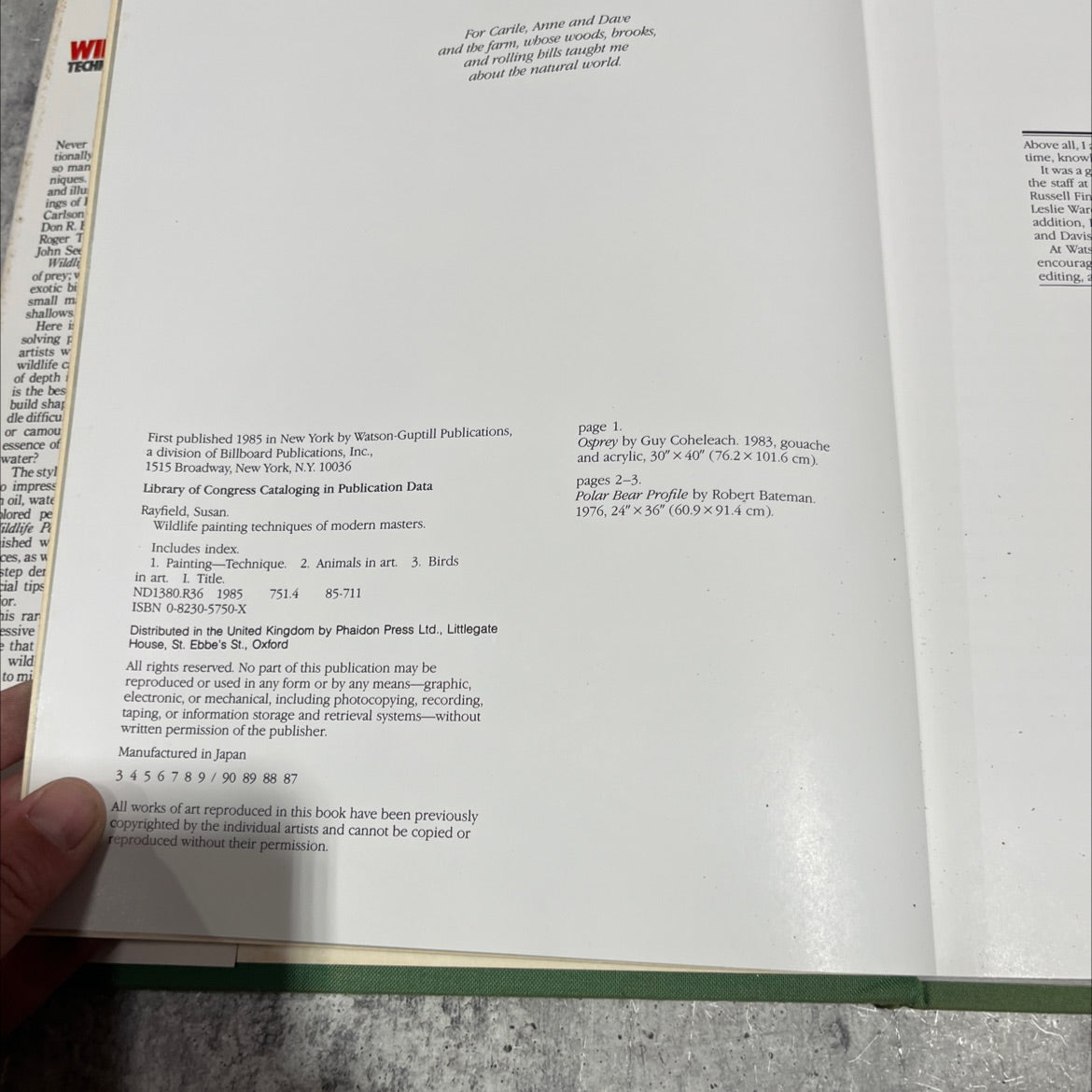 wildlife painting techniques of modern masters book, by susan rayfield, 1985 Hardcover image 3