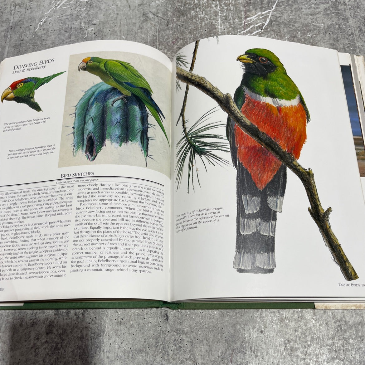 wildlife painting techniques of modern masters book, by susan rayfield, 1985 Hardcover image 4