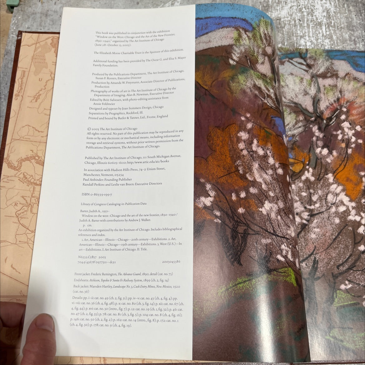 window on the west: chicago and the art of the new frontier, 1890-1940 book, by judith a. barter, 2003 Hardcover image 3