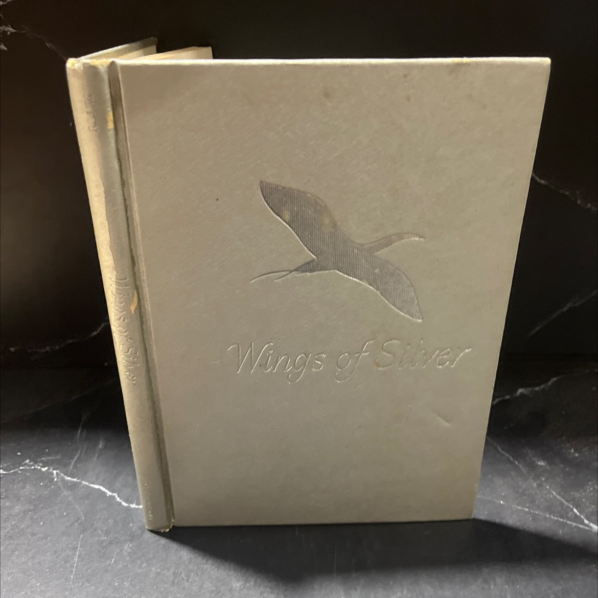 wings of silver book, by jo petty, 1967 Hardcover image 1