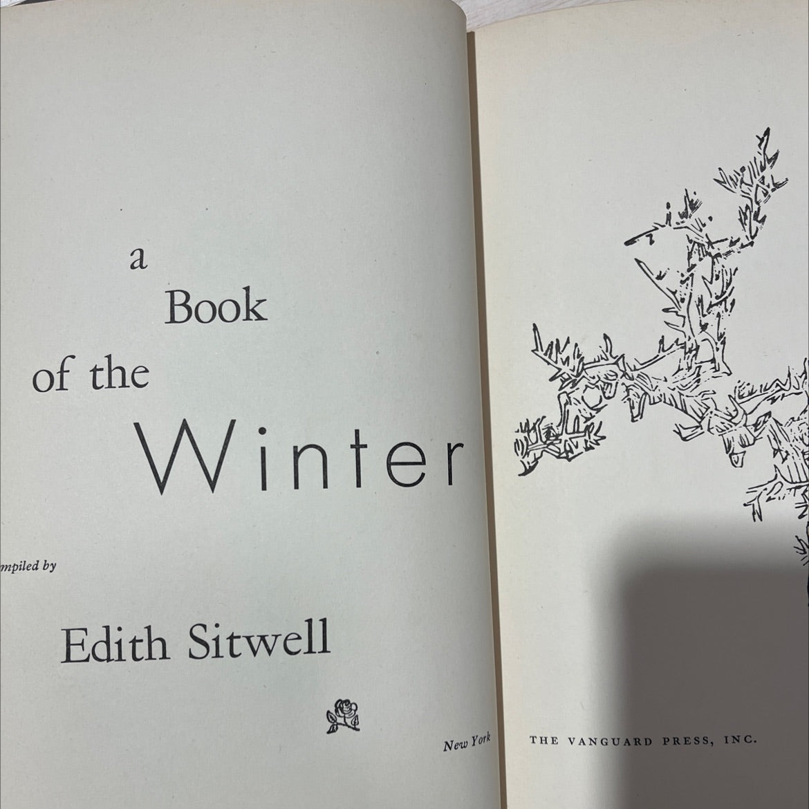 winter book, by edith sitwell, 1951 Hardcover, First Edition, Vintage image 2