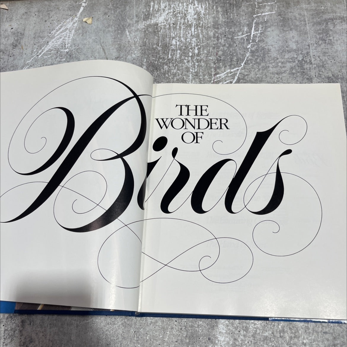 wonder birds book, by Robert M. Poole, 1983 Hardcover image 2