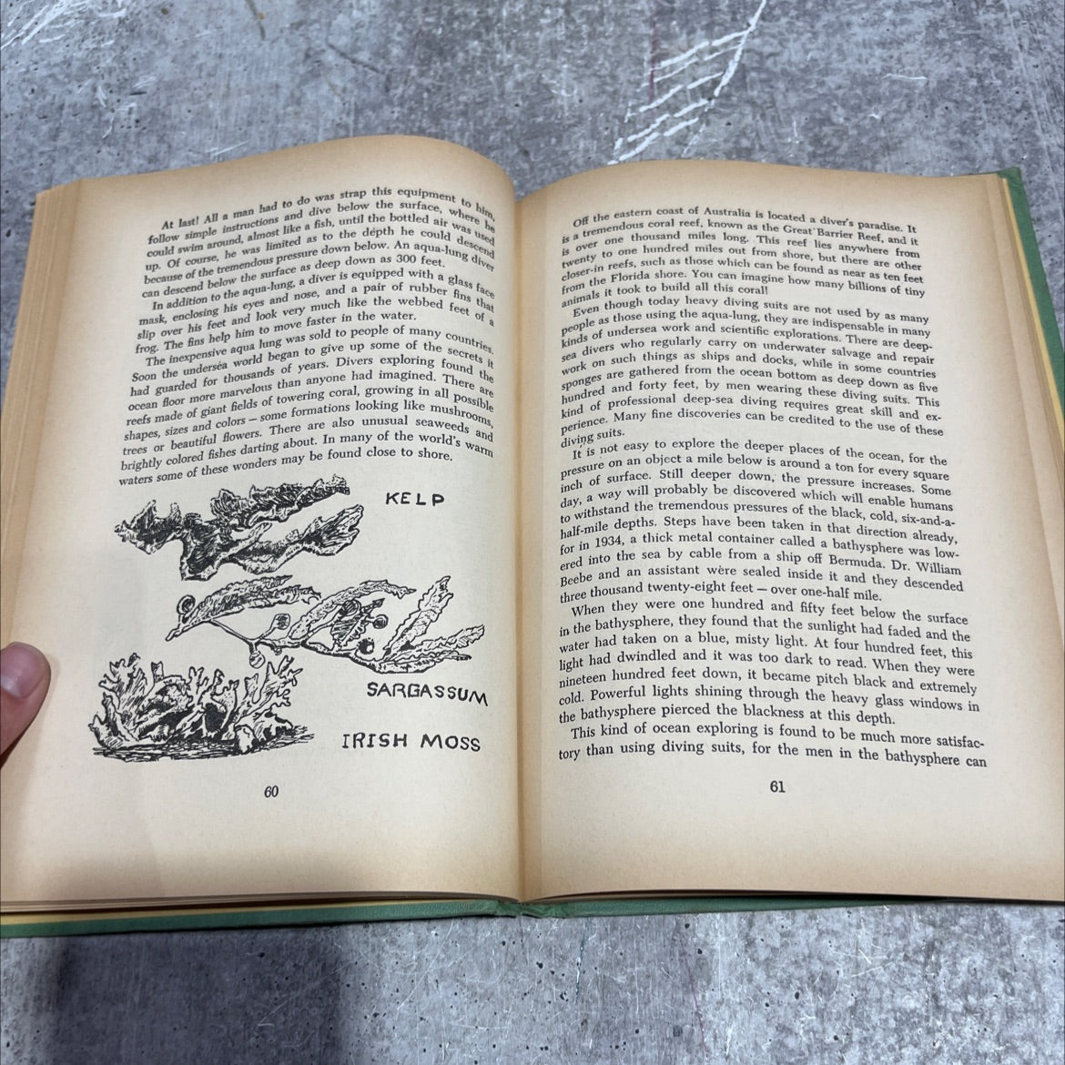 wonders of the deep sea book, by boris arnov, jr. and helen mather-smith mindlin, 1961 Hardcover image 4