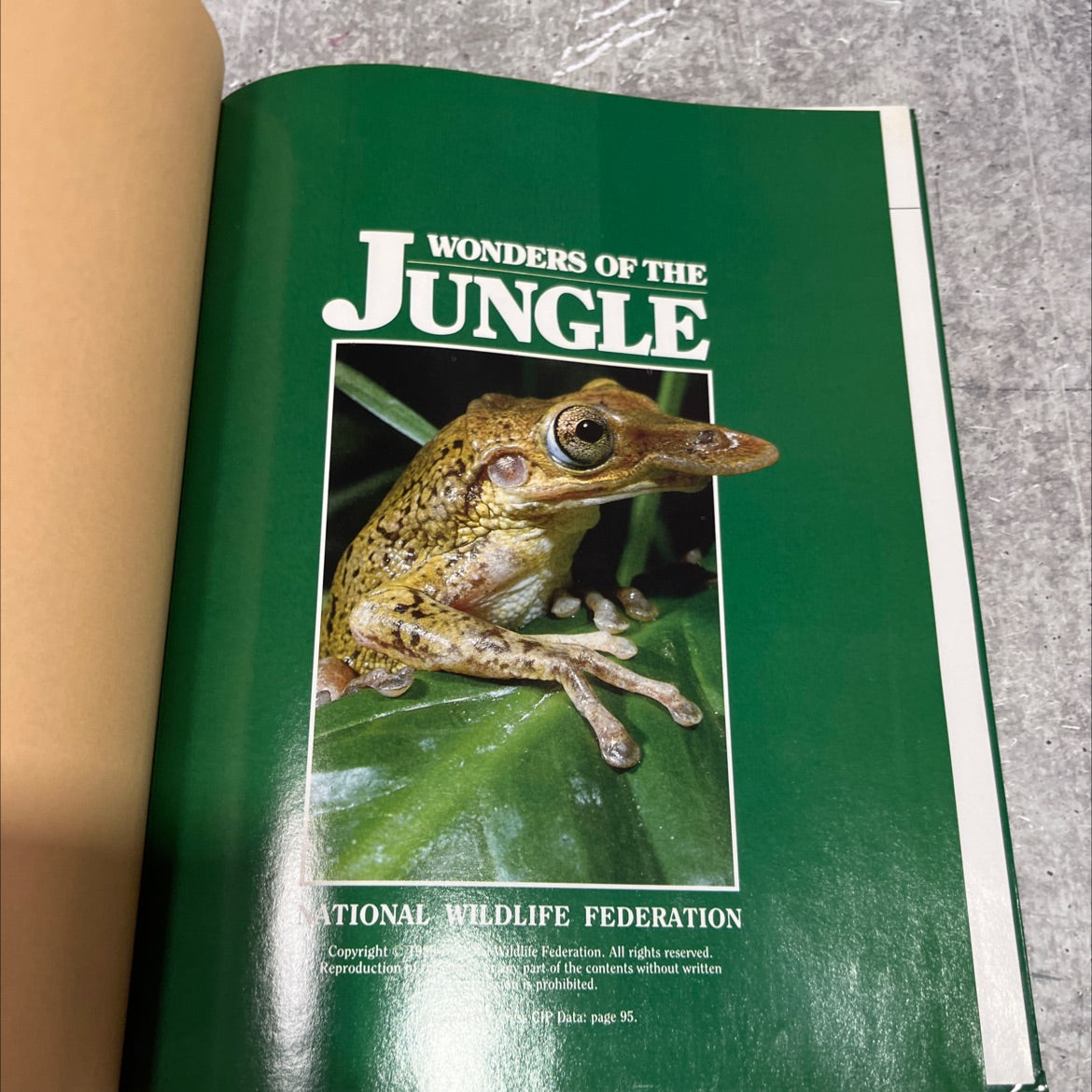 wonders of the jungle book, by national wildlife federation, 1986 Hardcover image 2