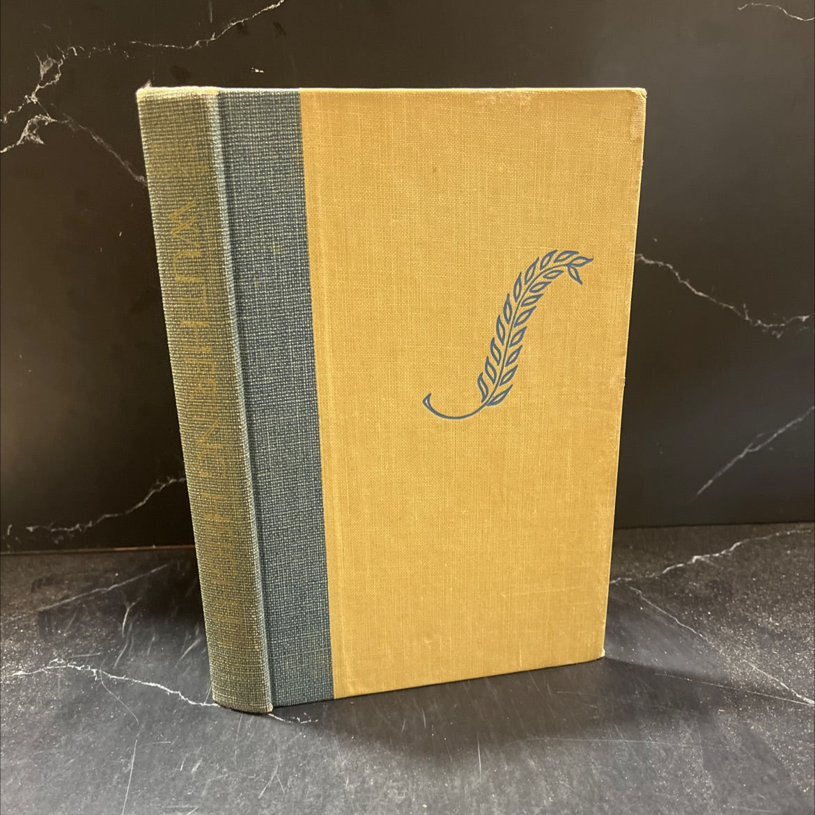 wuthering heights book, by emily brontë, 1970 Hardcover image 1