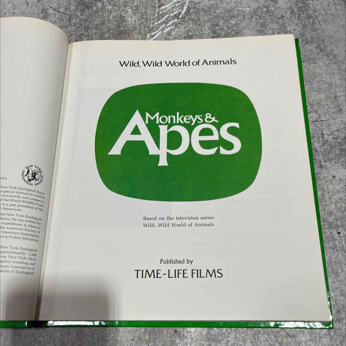 york wild, wild world of animals conte monkeys & apes book, by unknown, 1976 Hardcover image 2