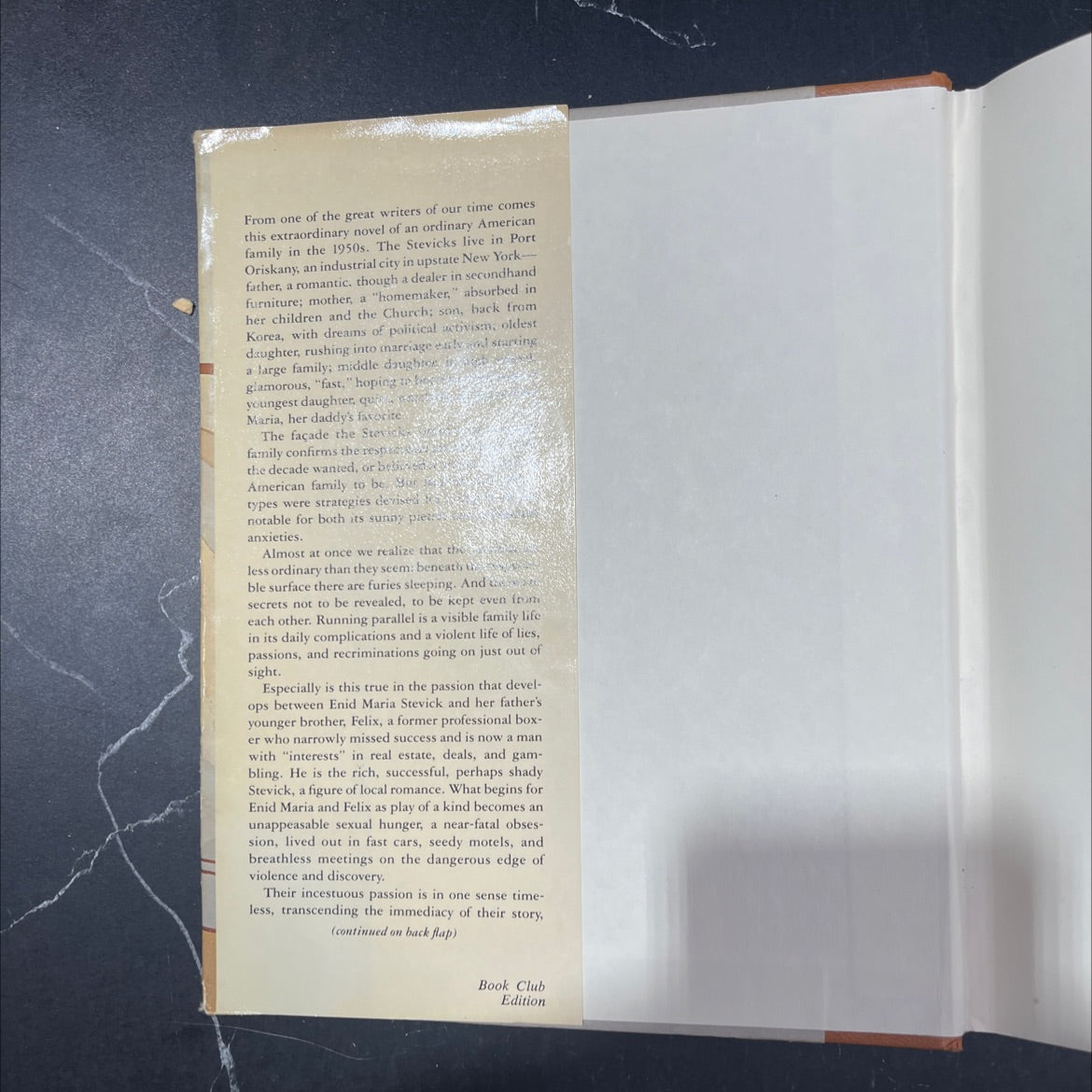 you must remember this book, by joyce carol oates, 1987 Hardcover image 4