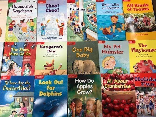 Small Illustrated Paperback Mixed Box (ages 3-9)