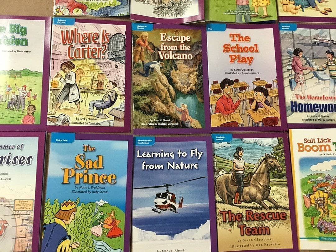 Small Illustrated Paperback Mixed Box (ages 3-9)