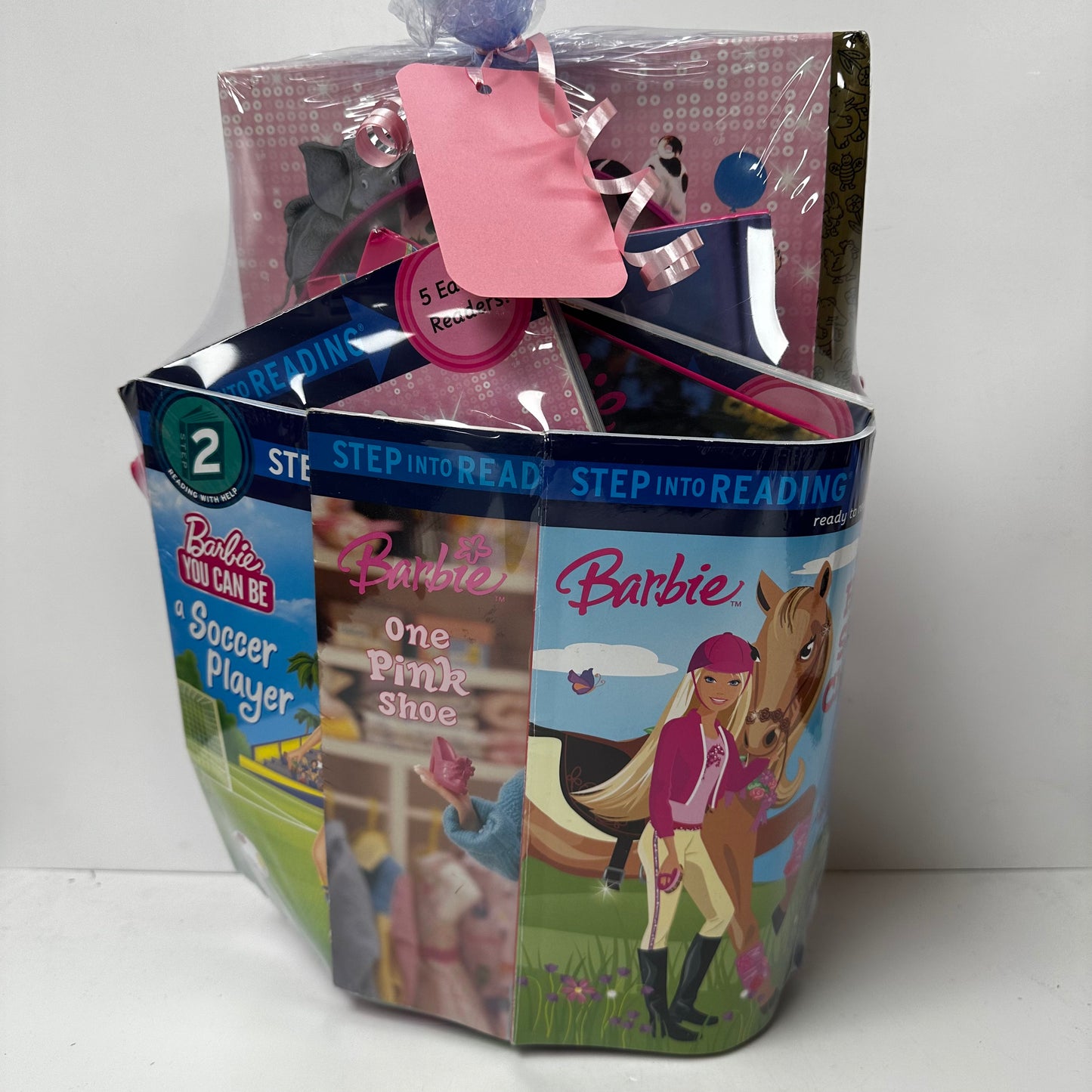 Barbie Theme (ages 5-10) - Book Gift Basket