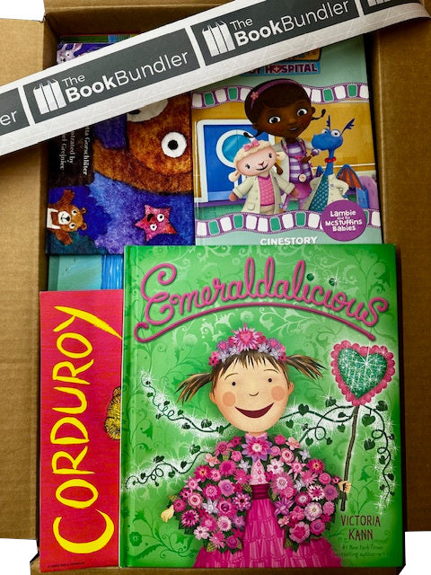 Preschool NO CHAPTER Book Box (ages 4-5) – TheBookBundler